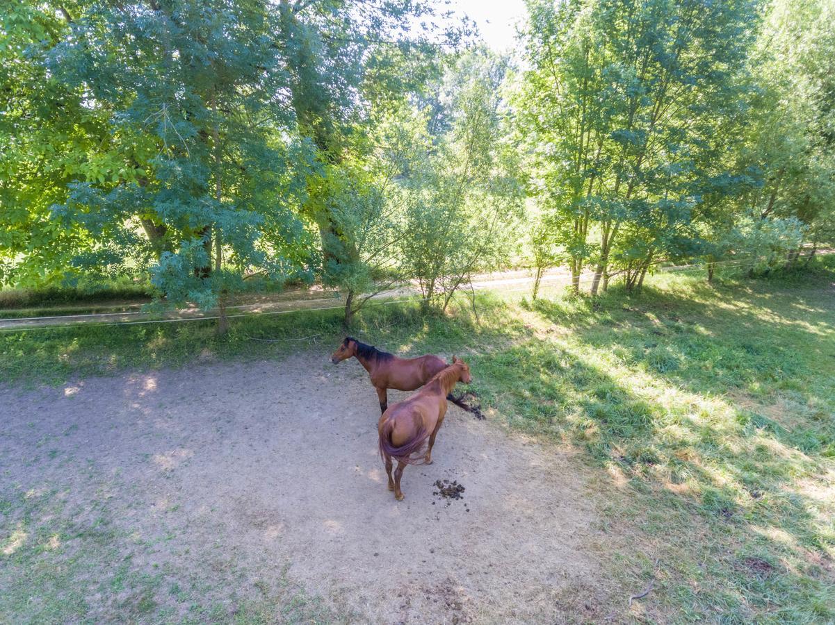 Holiday park Domaine De Puy Robert Lascaux - A 800m Grotte De Lascaux - Avec Piscine - Et Gites-appartements - Sarlat - Dordogne Montignac-Lascaux